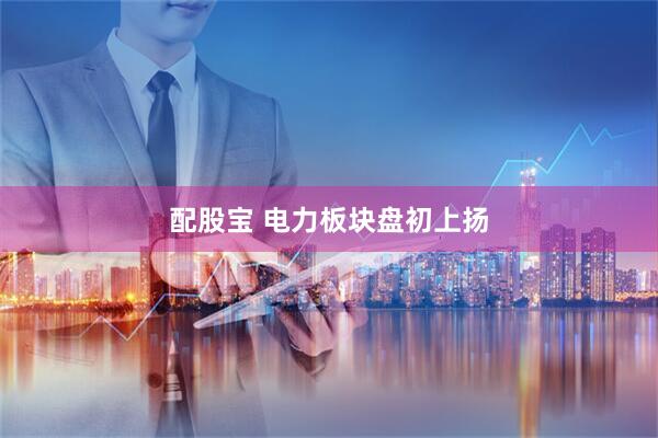 配股宝 电力板块盘初上扬